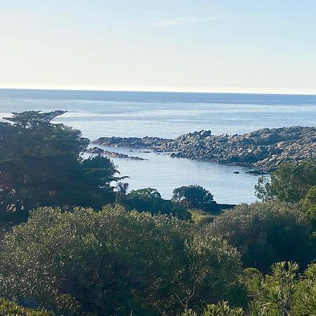 Maison De Pecheur Superbe Vue Mer, Grand Jardin Cadaqués Dış mekan fotoğraf