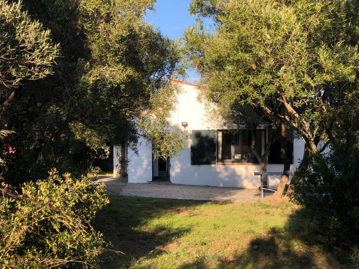 Maison De Pecheur Superbe Vue Mer, Grand Jardin Cadaqués Dış mekan fotoğraf